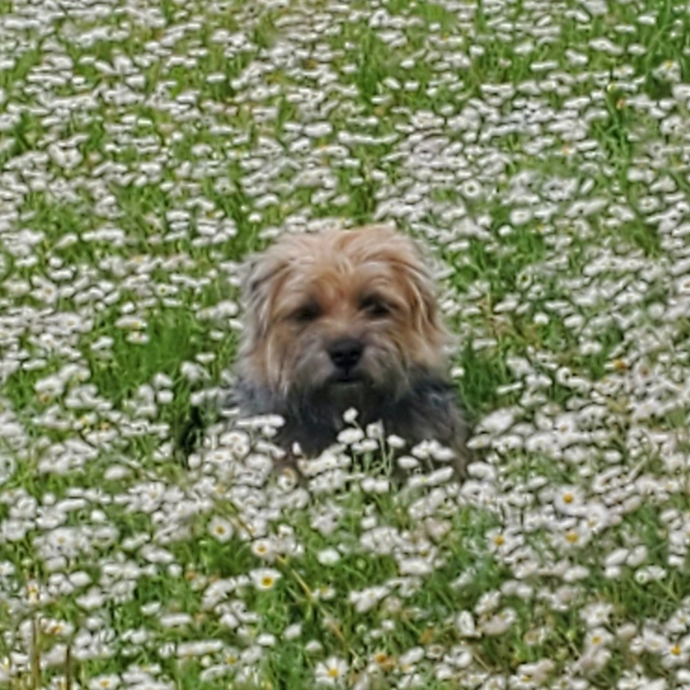 Meet your Posher, Brenda